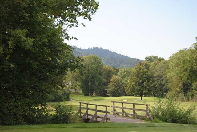 View of the 8th green from Freiburger Golf Club.