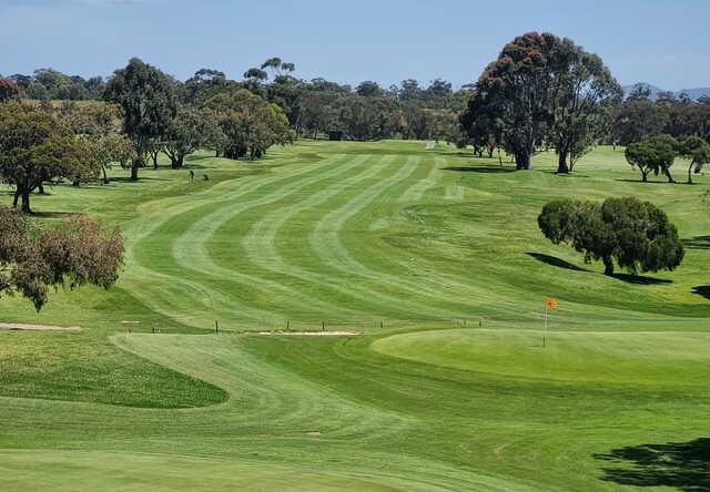 View of a green from Werribee Park Golf Club.