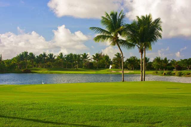 View from the Benjamina Nine at Cocotal Golf & Country Club