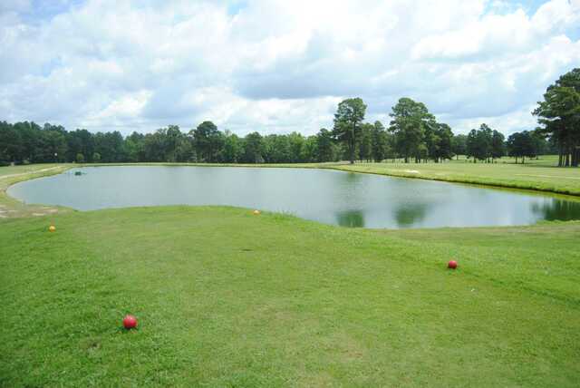A view from a tee at Lions Club Golf Course (City of El Dorado, AR - City Hall).