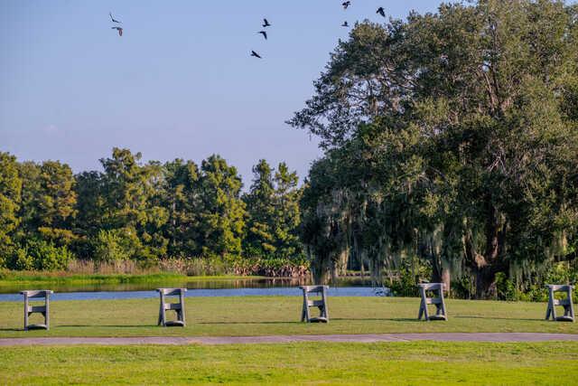 A view from Kissimmee Bay Country Club