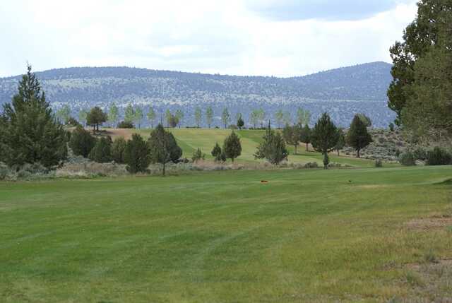 A view of a tee at Likely Place RV & Golf.