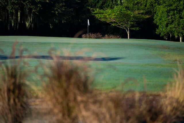 View of a green from Banyan Creek Golf Club