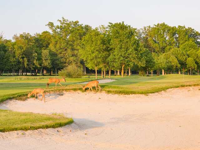 Golf des Yvelines Les Tilleuls Course - Resonance