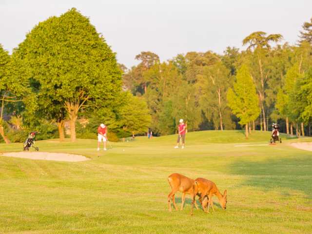 A view from Yvelines Golf Club - Les Tilleuls Course