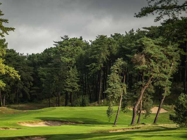 View from a fairway at Hardelot Golf Club - The Pines Course