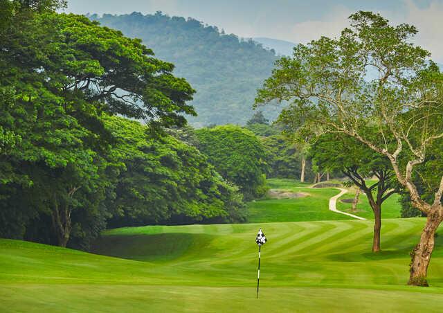 Looking back from a green at Victoria Golf & Country Resort.