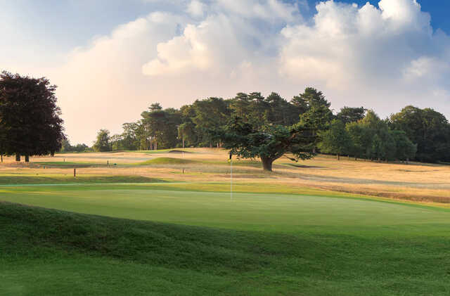 View of the 16th green from Wollaton Park Golf Club.