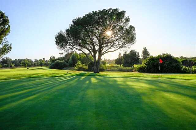 A sunny day view of a hole at Woodley Lakes Golf Course.