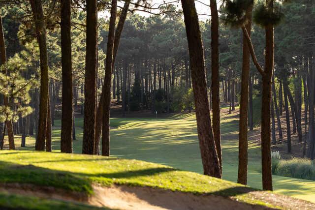 View from a tee box at PGA Aroeira No. 2