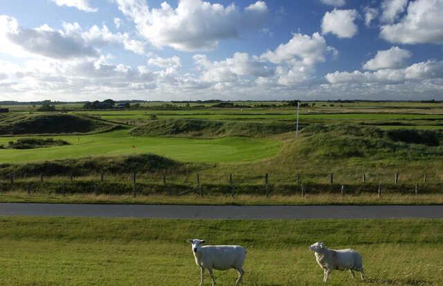 A view from Nordsee Golf Club St. Peter-Ording