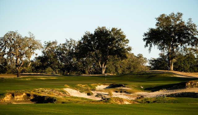 A view from Karoo Course at Cabot Citrus Farms