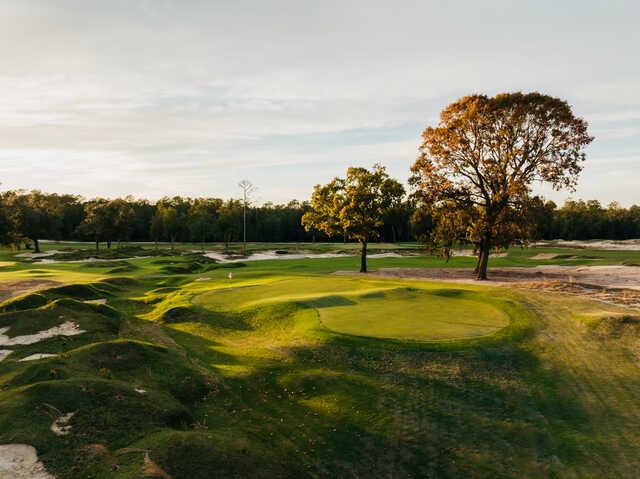 View of a green from The Wedge Course at Cabot Citrus Farms.