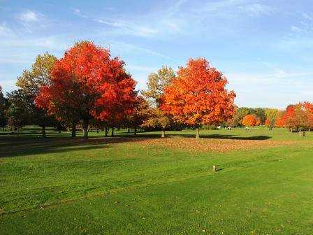 A fall view from Coyote Run Golf Course