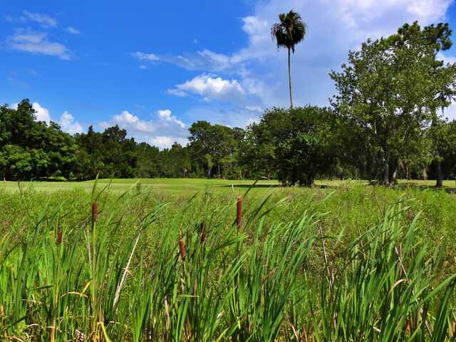 The Oaks Golf Club