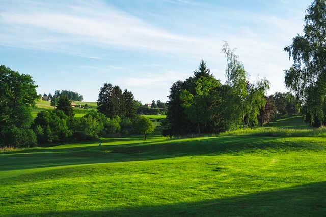 View of a green from Blumisberg Golf and Country Club.