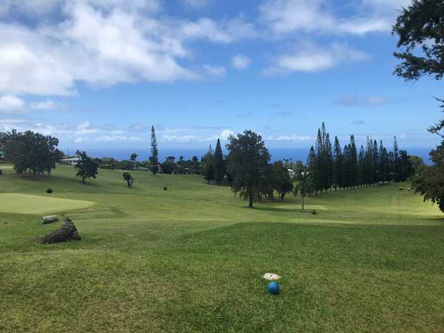 A view from Hamakua Country Club Golf