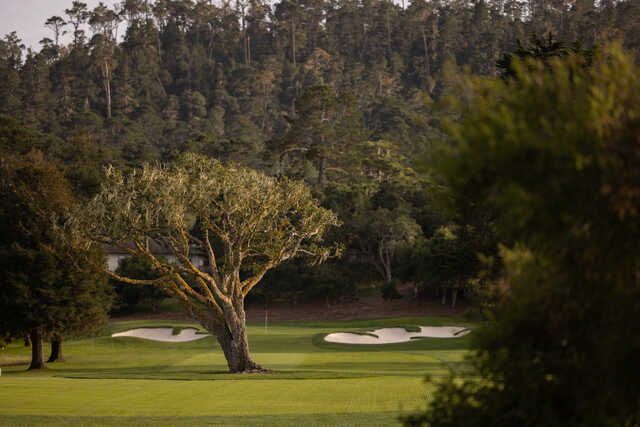 View of the 7th green from the tee box