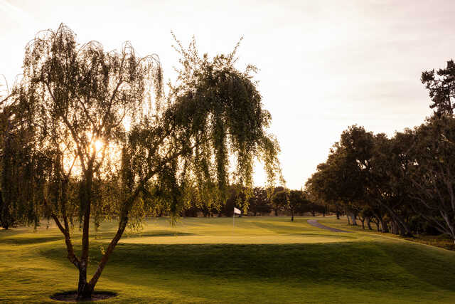 View of the 2nd green at Del Monte Golf Course.