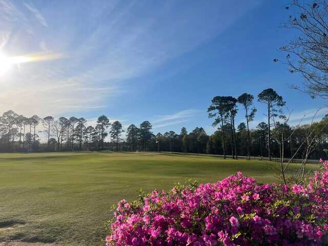 A view of a hole at Dawson Country Club.