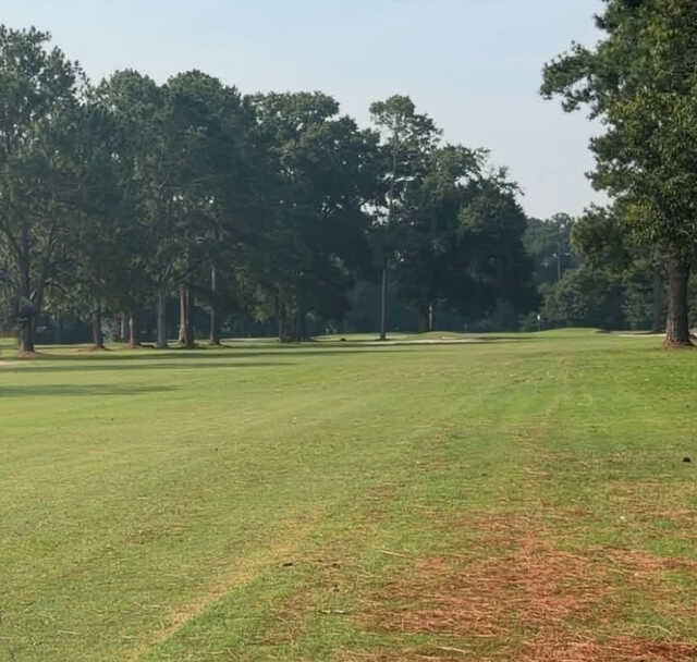 A view from a fairway at McKenzie Memorial Golf Course (Brandon Rye).
