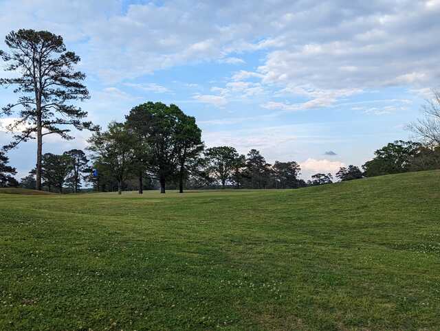 A view of a green at Raintree Golf Club.
