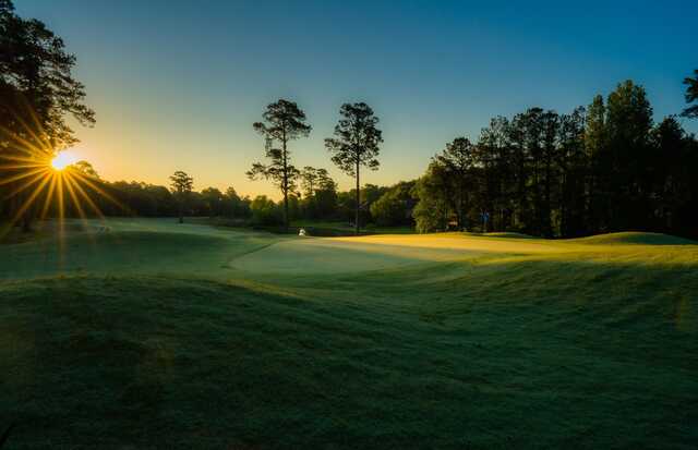 A sunny day view of a green at Landings Golf Club.