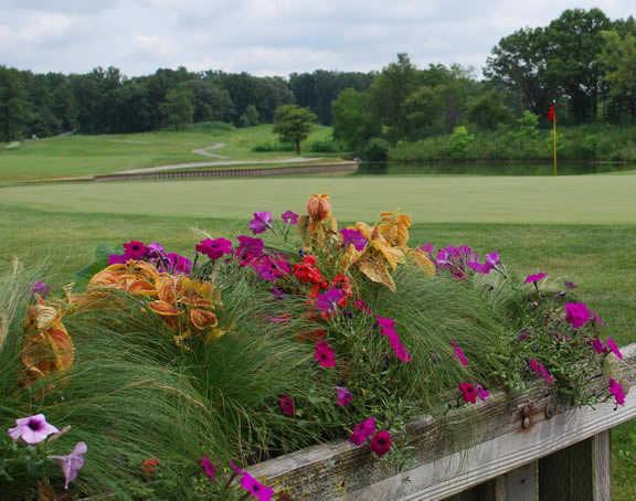A view from the clubhouse terrace at Cantigny Golf