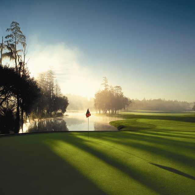 Golf at Innisbrook Golf Resort - Premier Golfing Experience