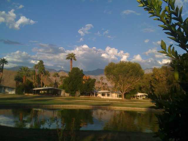 A view from the back of the clubhouse at Date Palm Country Club