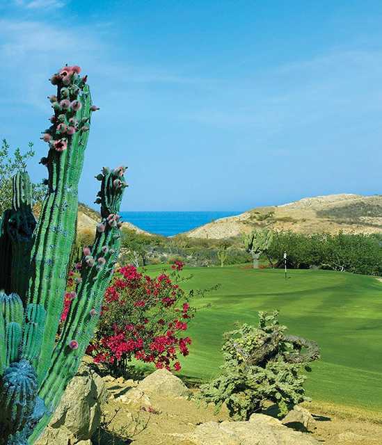 A view of a green at Arroyo Golf Course from One&Only Palmilla Golf Club