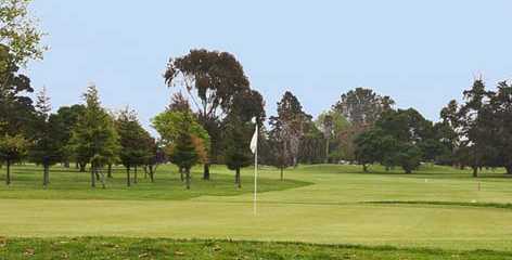 A view of a green at Salinas Fairways Golf Course