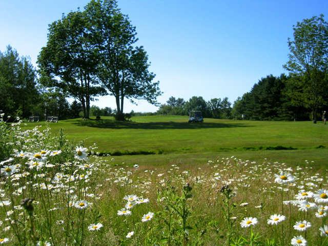 A look at the 9th tee box with daisies in foreground at Freeport Country Club