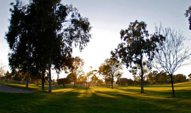 A sunny view from Costa Mesa Golf & Country Club.