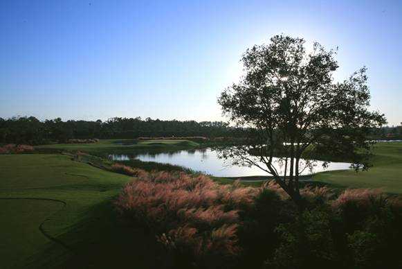 View from TPC Treviso Bay