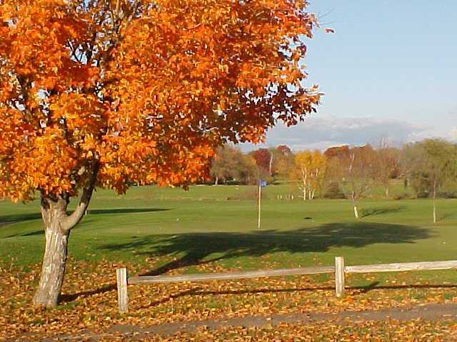 A fall view of green at Majestic Oaks Golf Club