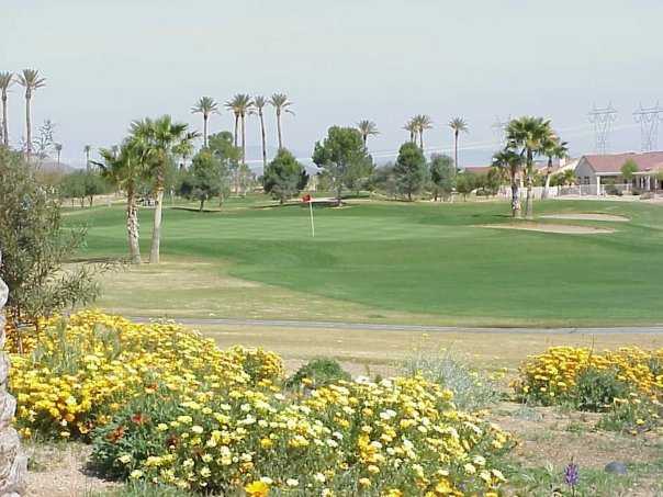 A view from Desert Trails Golf Course