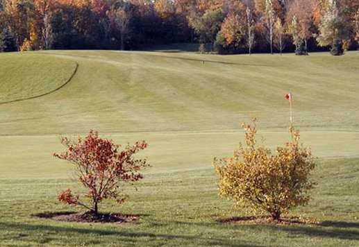 Chippewa Creek Golf at Mt. Hope Reviews Course Info GolfNow