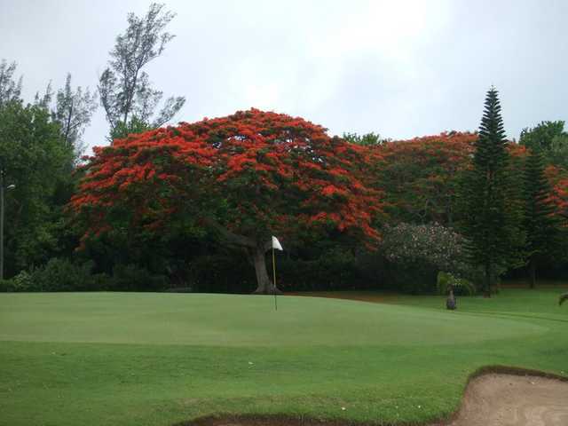 A view of the 3rd green at Ocean View Golf Club