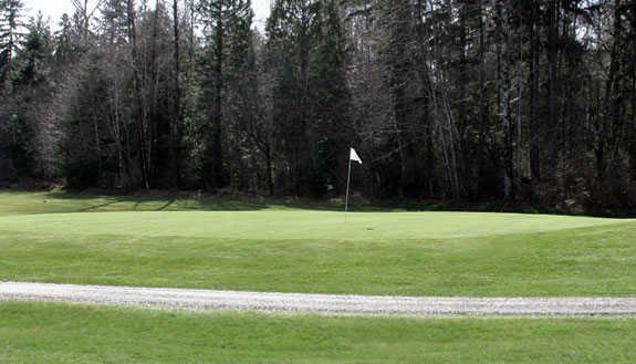 A view of the 8th green at Lake Cushman Golf Course.