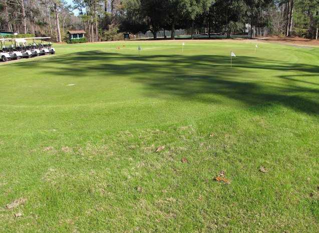 A view of the practice putting green at Dogwood Hills Golf Club