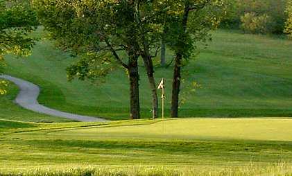 A view of a green with a narrow path on the left side at Hodge Park Golf Course.