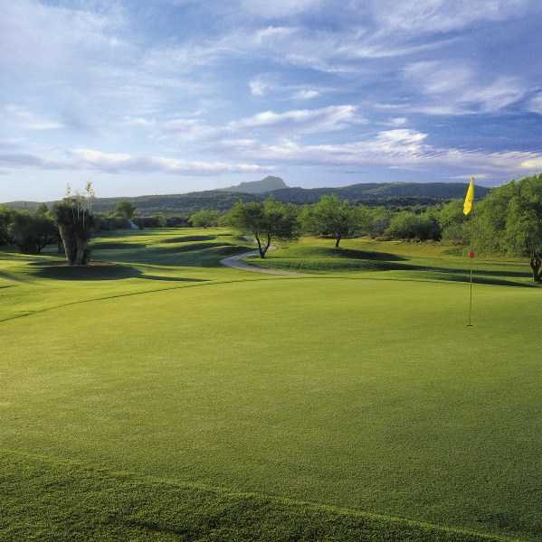 A sunny view of green with narrow path in background at 	Rancho de Los Caballeros Golf Club