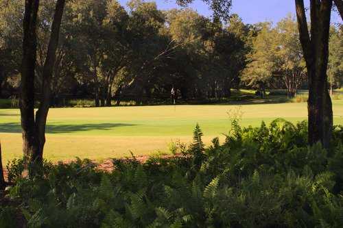 A sunny view of a green at Arlington Ridge Golf Club