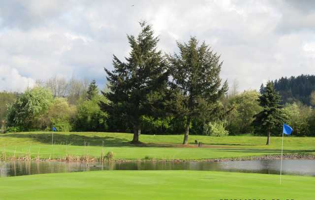 A view of some greens separated by water at Newaukum Valley Golf Course