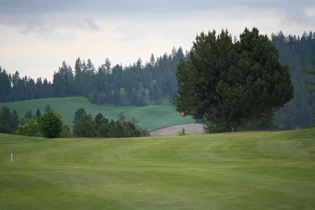 A view of fairway from The Fairways