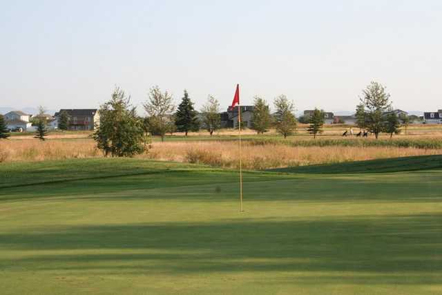 A sunny view of green from Fairways Golf Course