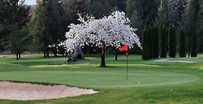 A spring view of green protected by sand trap at Snoqualmie Falls Golf Course