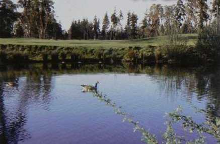 A view over the water of a hole at Madrona Links Golf Course