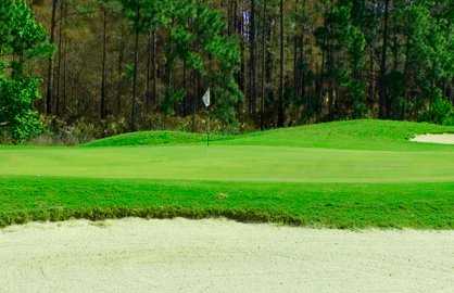 A view of a green at Magnolia Plantation Golf Club